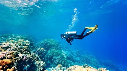 Kemer scuba diving experience with transfer from Antalya
